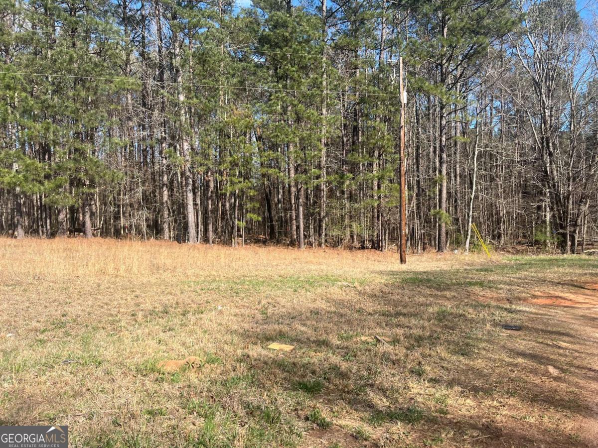 2811 Noahs Ark Road RD