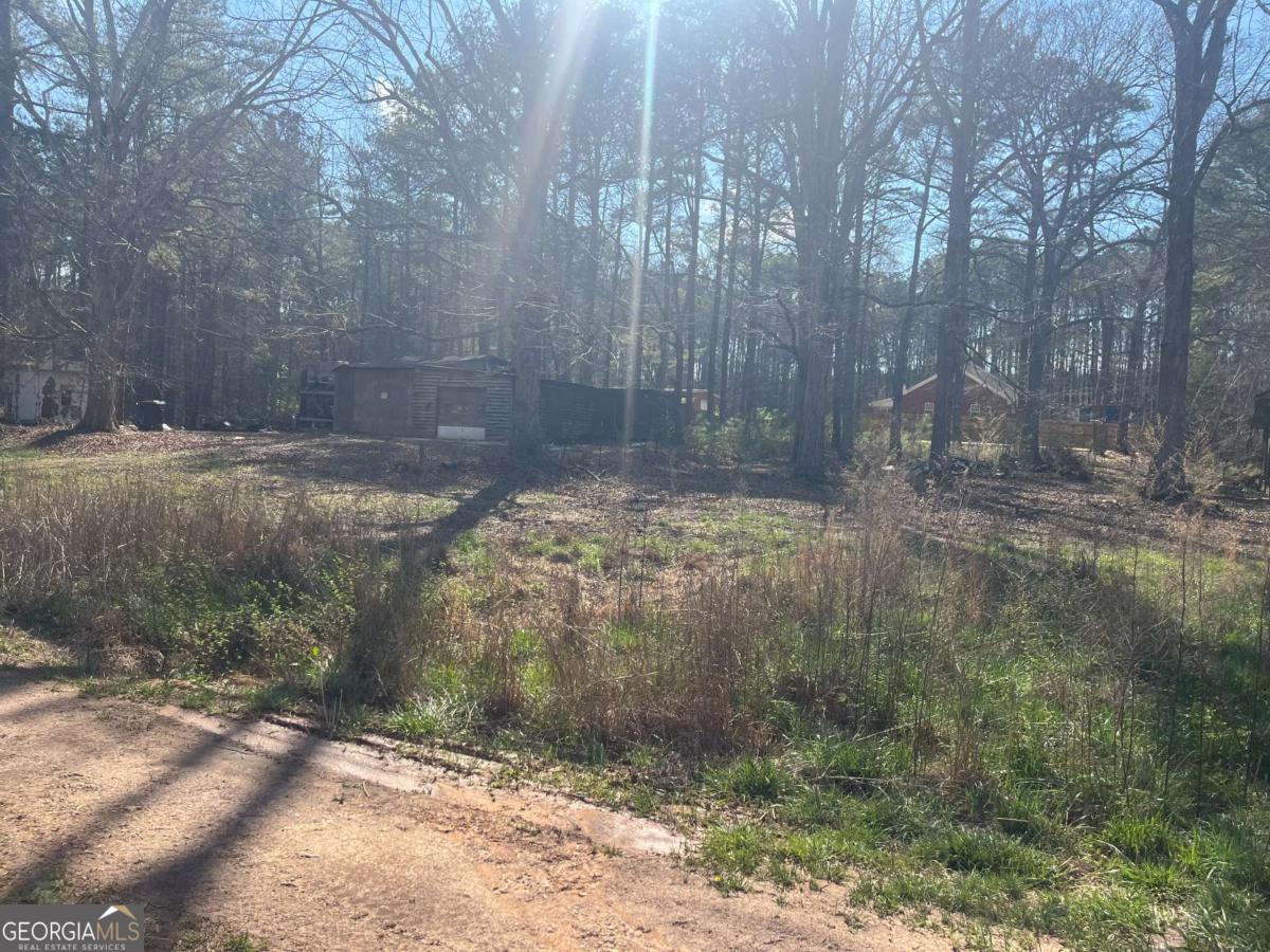 2811 Noahs Ark Road RD