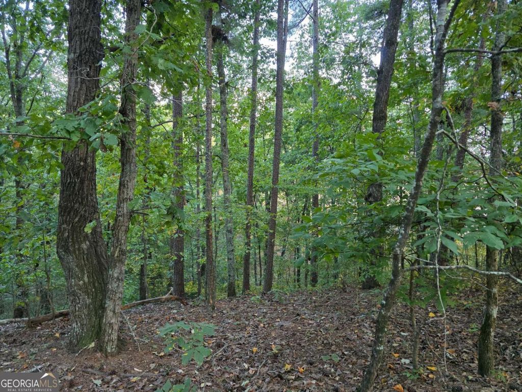 Photo of 0 Old Goodie Mtn Road SE, Cartersville, GA 30120 (MLS # 10608655)