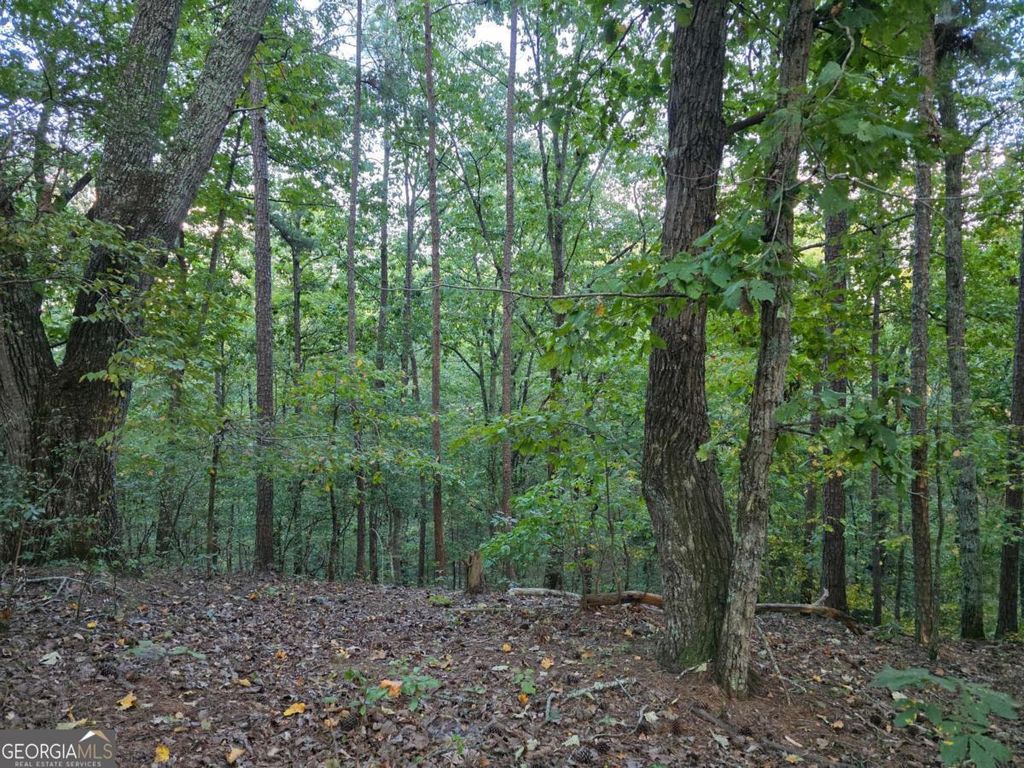 Photo of 0 Old Goodie Mtn Road SE, Cartersville, GA 30120 (MLS # 10608655)