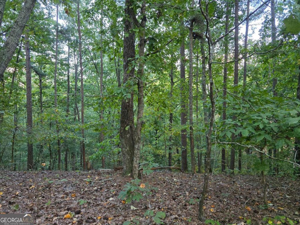 Photo of 0 Old Goodie Mtn Road SE, Cartersville, GA 30120 (MLS # 10608655)