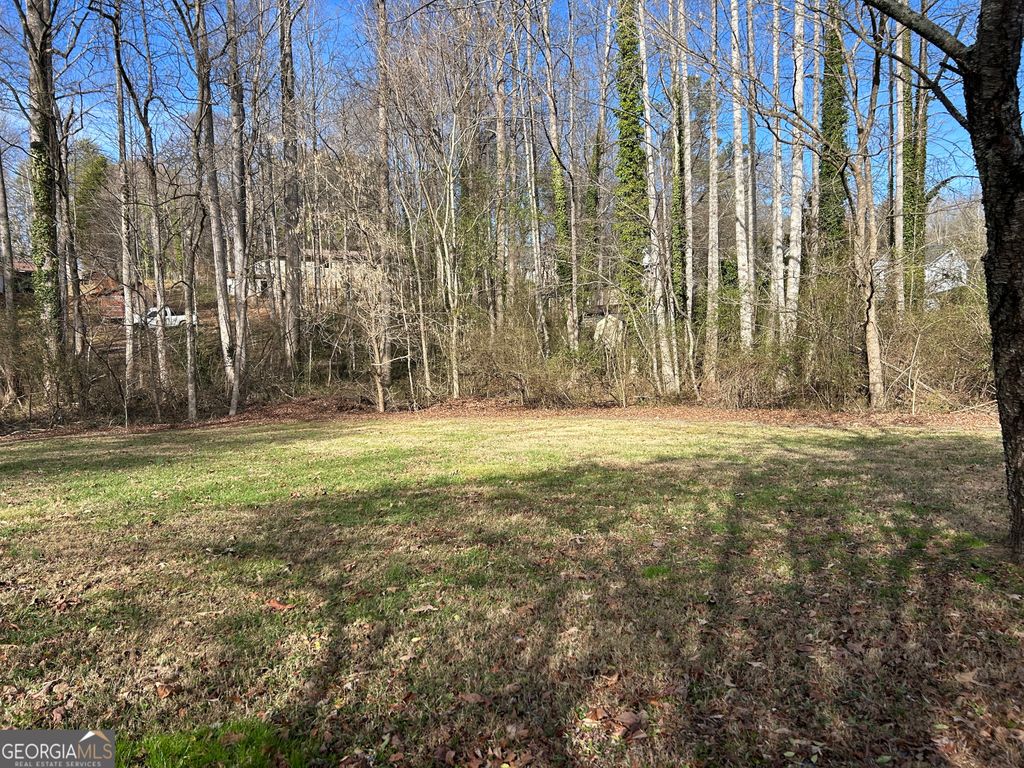 Photo of 437 E Louise Street, Clarkesville, GA 30523 (MLS # 10672090)