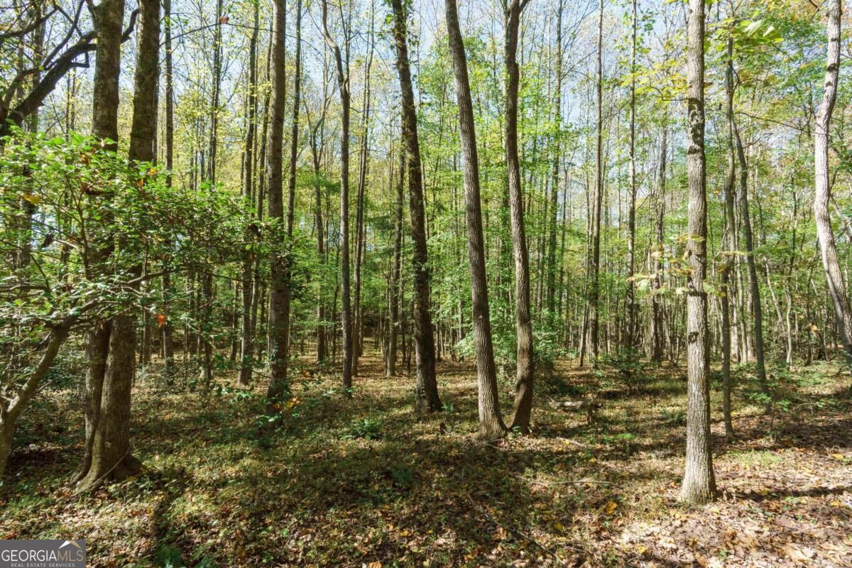140 Highpoint Ridge CT 15