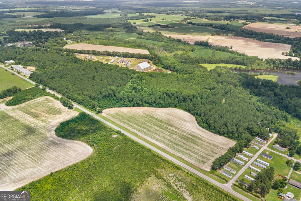 Photo of 0 Highway 46, Register, GA 30452 (MLS # 10798219)