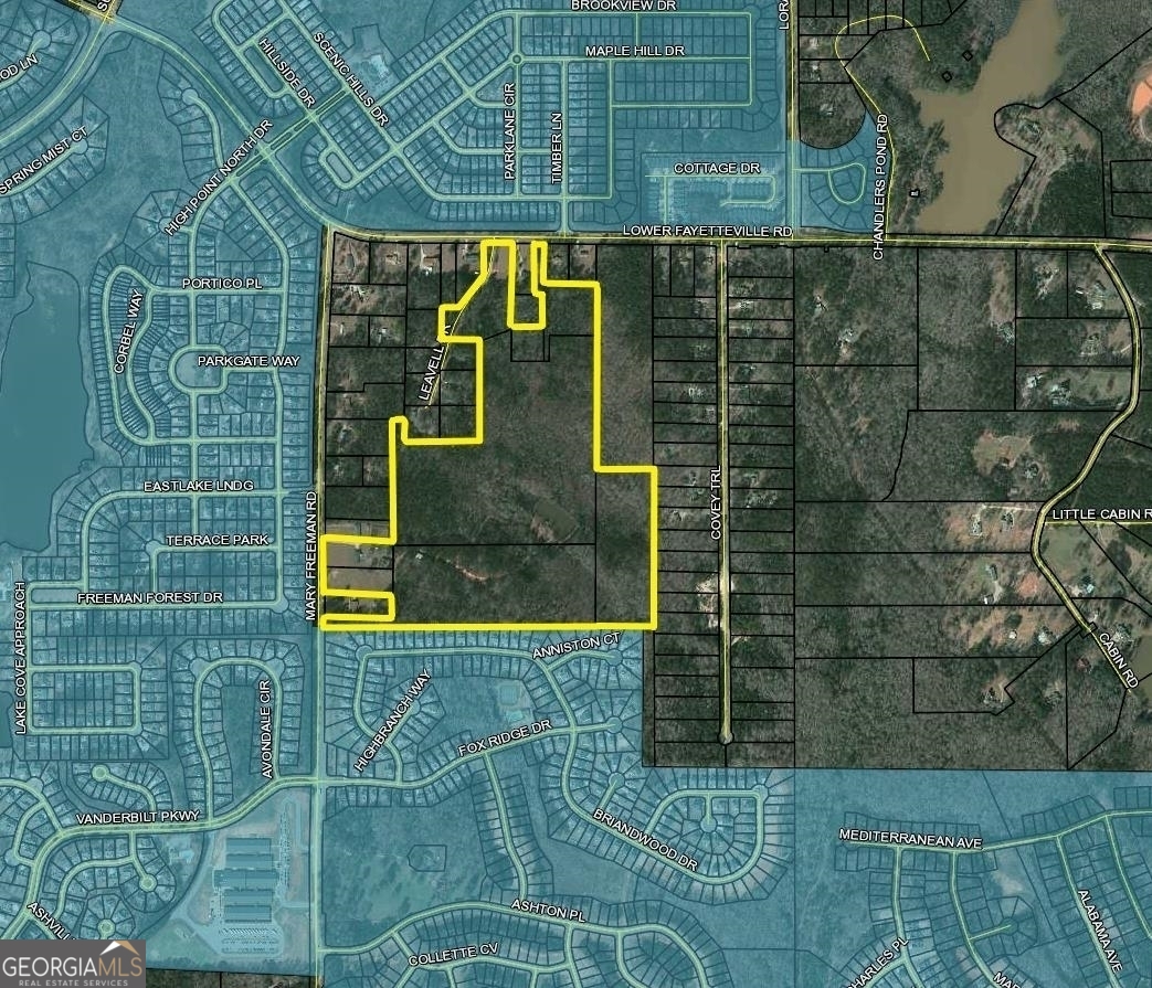 61.97 acres perfectly nestled in Coweta's most convenient location! This prime location is adjacent to the City of Newnan property and within the Priority Development zone approved by the Coweta County Board of Commissioners and the Coweta County 2041 Comprehensive Plan. Situated with frontage on both Lower Fayetteville and Mary Freeman Roads, this property sits between multiple vibrant and well-established subdivisions. Beautiful acreage with unlimited potential. An ideal setting to develop into detached single-family housing, attached senior living, or a mixture of different types of housing. The land is wooded and includes a stocked pond and several existing residences. Very convenient to shopping, restaurants, Piedmont Newnan Hospital, schools, the bypass, and I-85. 111 6001 001A 111 6001 006 111 6001 007A 111 6001 026 111 6001 031 111 6001 001 111 6001 001