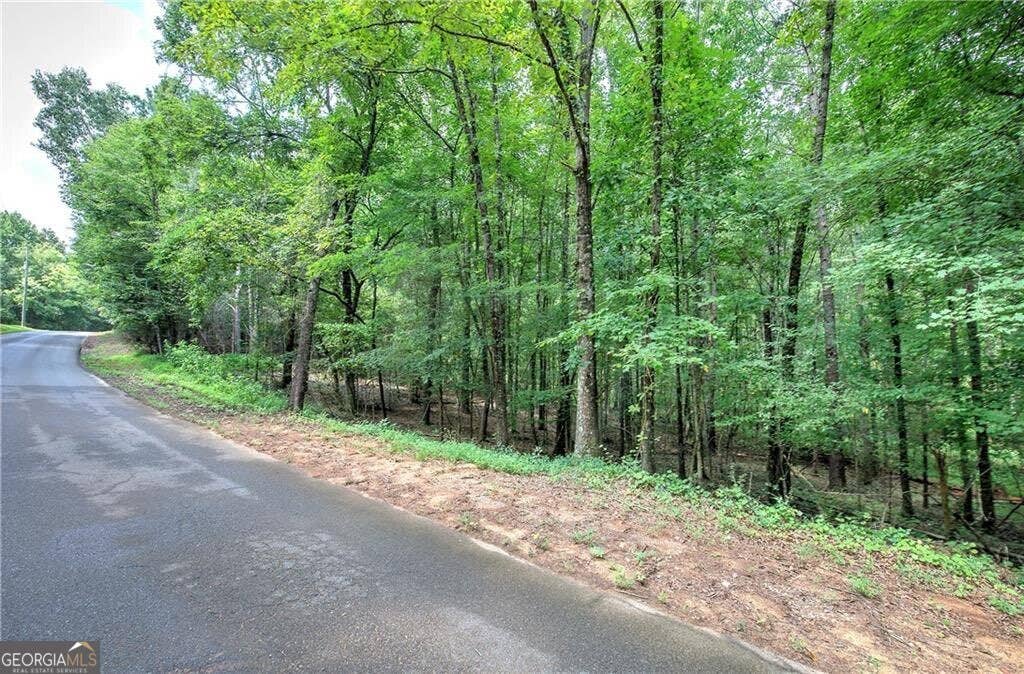 Photo of 0 Weissenger Road, Kingston, GA 30145 (MLS # 10822317)