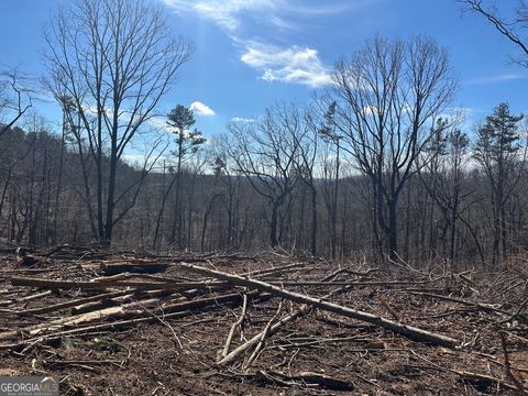 Photo of 600 Chapman Ridge Lane, Dahlonega, GA 30533 (MLS # 10697228)