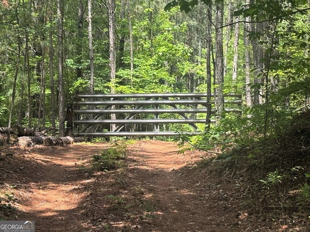 Photo of 0 Butler Bridge Road, mcdonough, GA 30252 (MLS # 10756408)