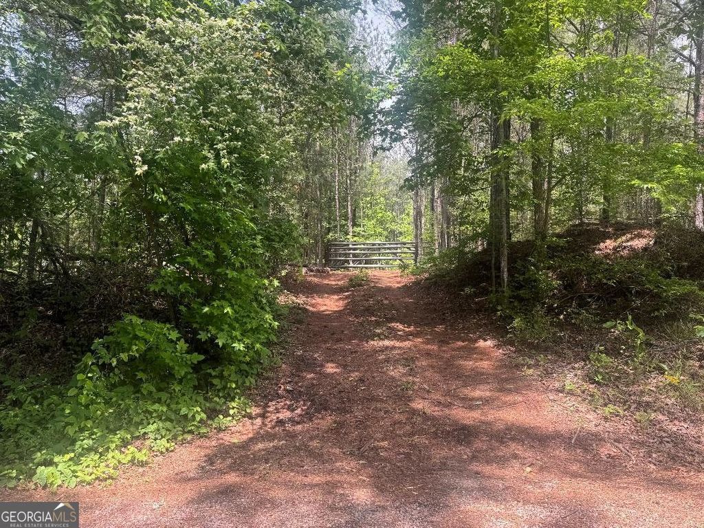Photo of 0 Butler Bridge Road, mcdonough, GA 30252 (MLS # 10756408)