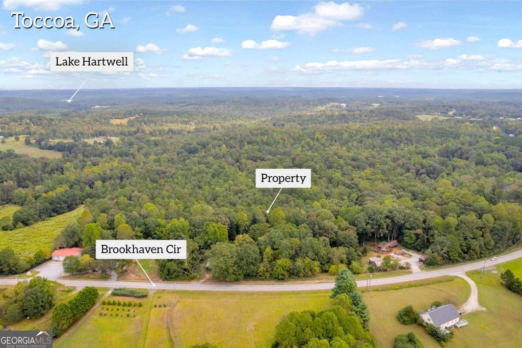 Photo of 0 Brookhaven Circle, Toccoa, GA 30577 (MLS # 10851447)