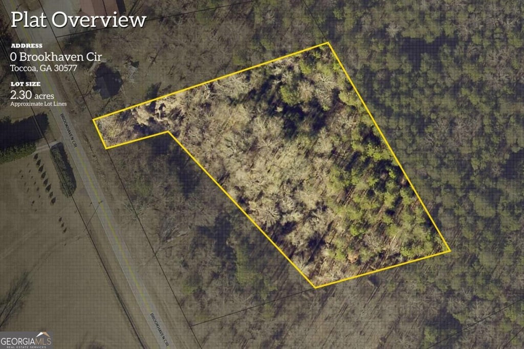 Photo of 0 Brookhaven Circle, Toccoa, GA 30577 (MLS # 10851447)