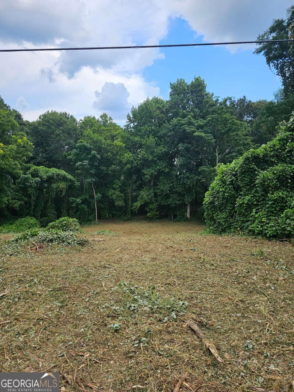 Photo of 0 Brookhaven Circle, Toccoa, GA 30577 (MLS # 10851447)