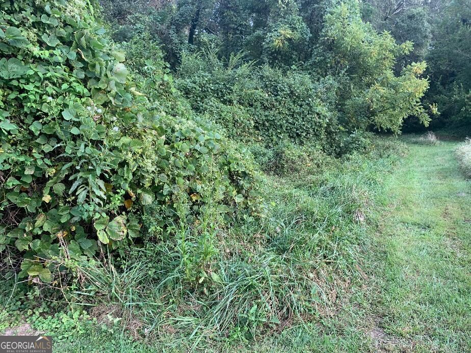 Photo of 0 Prather Bridge Rd, Toccoa, GA 30577 (MLS # 10879487)