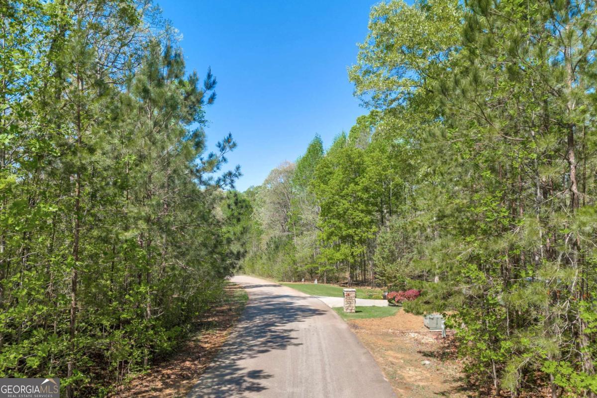 91 Lenten Rose LN