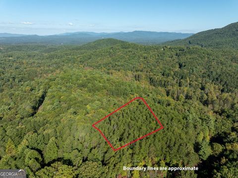 TRACT 1 Turniptown RD Ellijay GA 30536