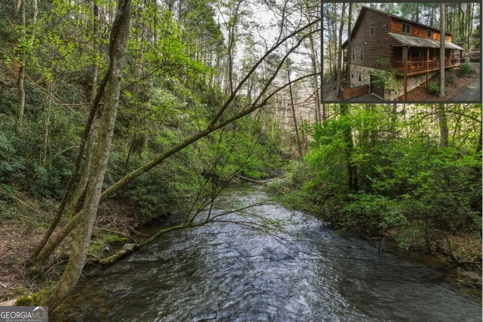 58 River Road, Cherry Log, GA, 30522
