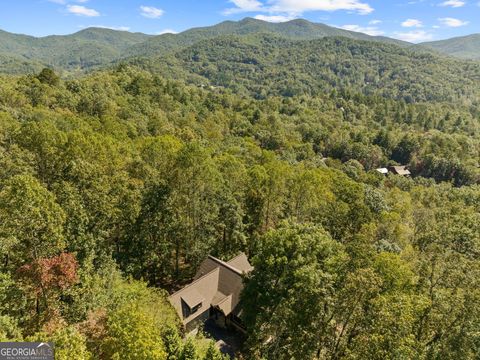 A home in Hiawassee