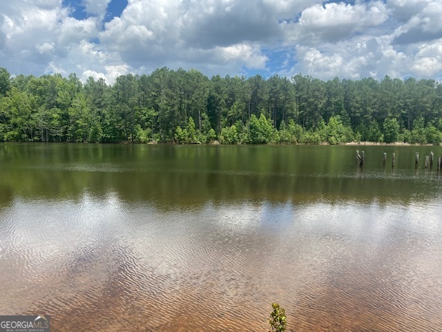 4318 Hester Town RD