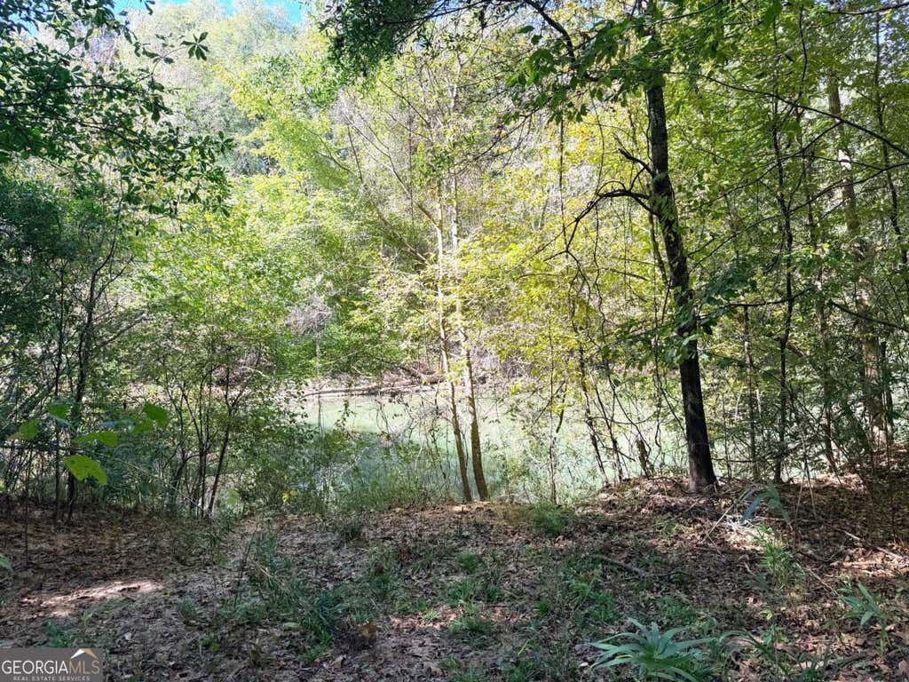 Photo of 0 Towaliga South Road, Jackson, GA 30233 (MLS # 10807292)