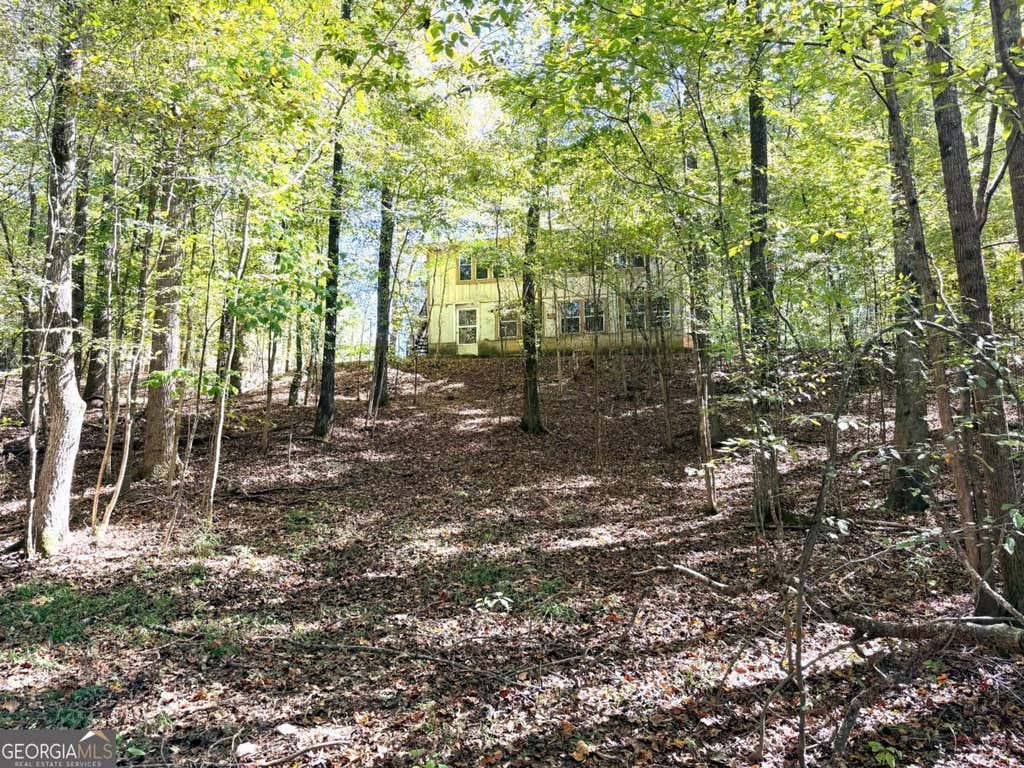 Photo of 0 Towaliga South Road, Jackson, GA 30233 (MLS # 10807292)