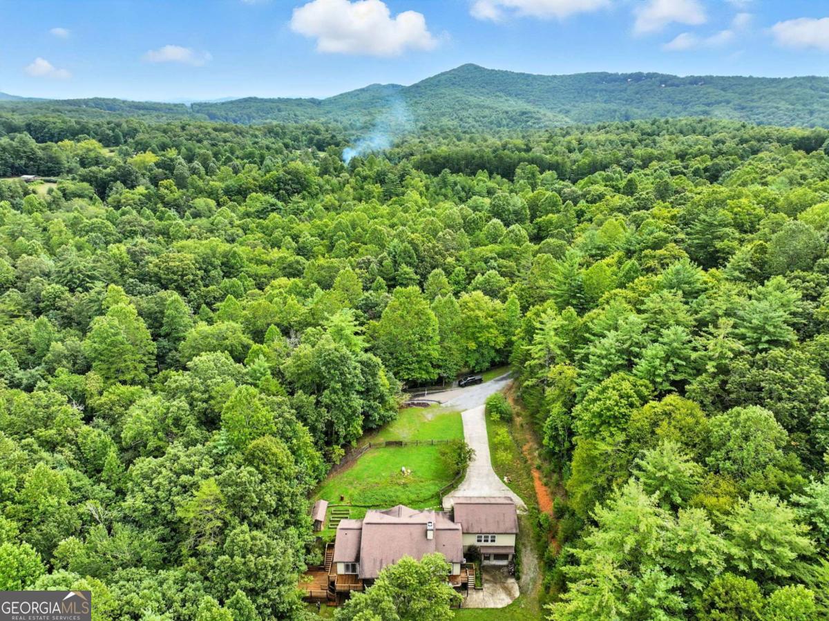 87 Dillons LN