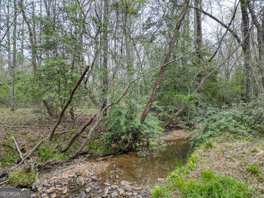 Photo of 407 Highland Trace #TRACT E, Blairsville, GA 30512 (MLS # 10726325)