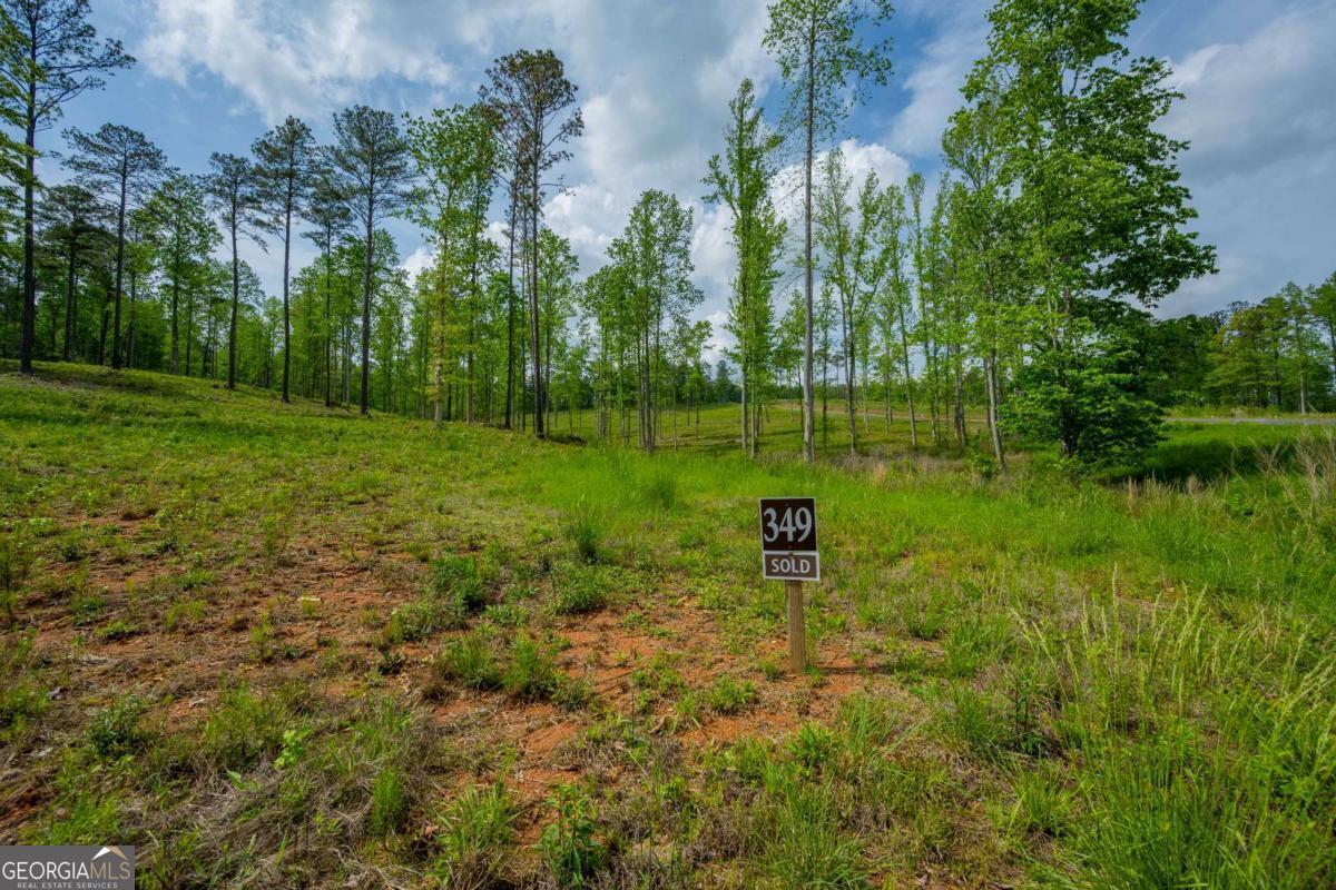 L349 The Vineyard at Yukon