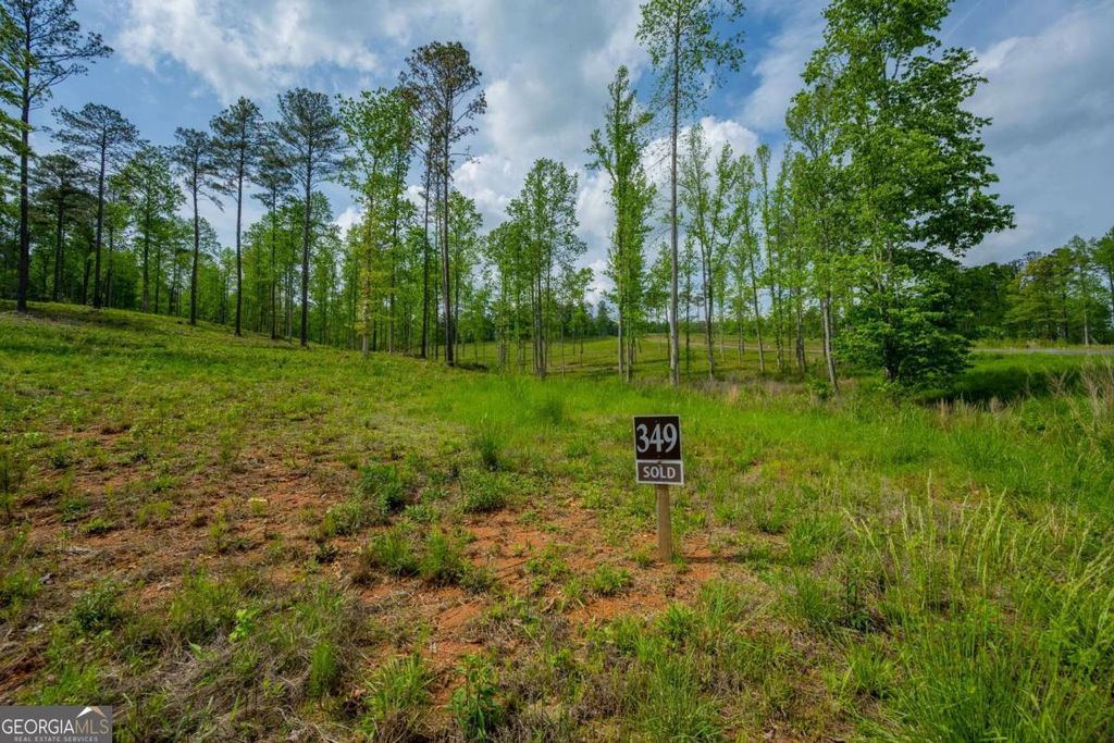 Photo of 349 The Vineyard at Yukon, Ellijay, GA 30540 (MLS # 10741411)