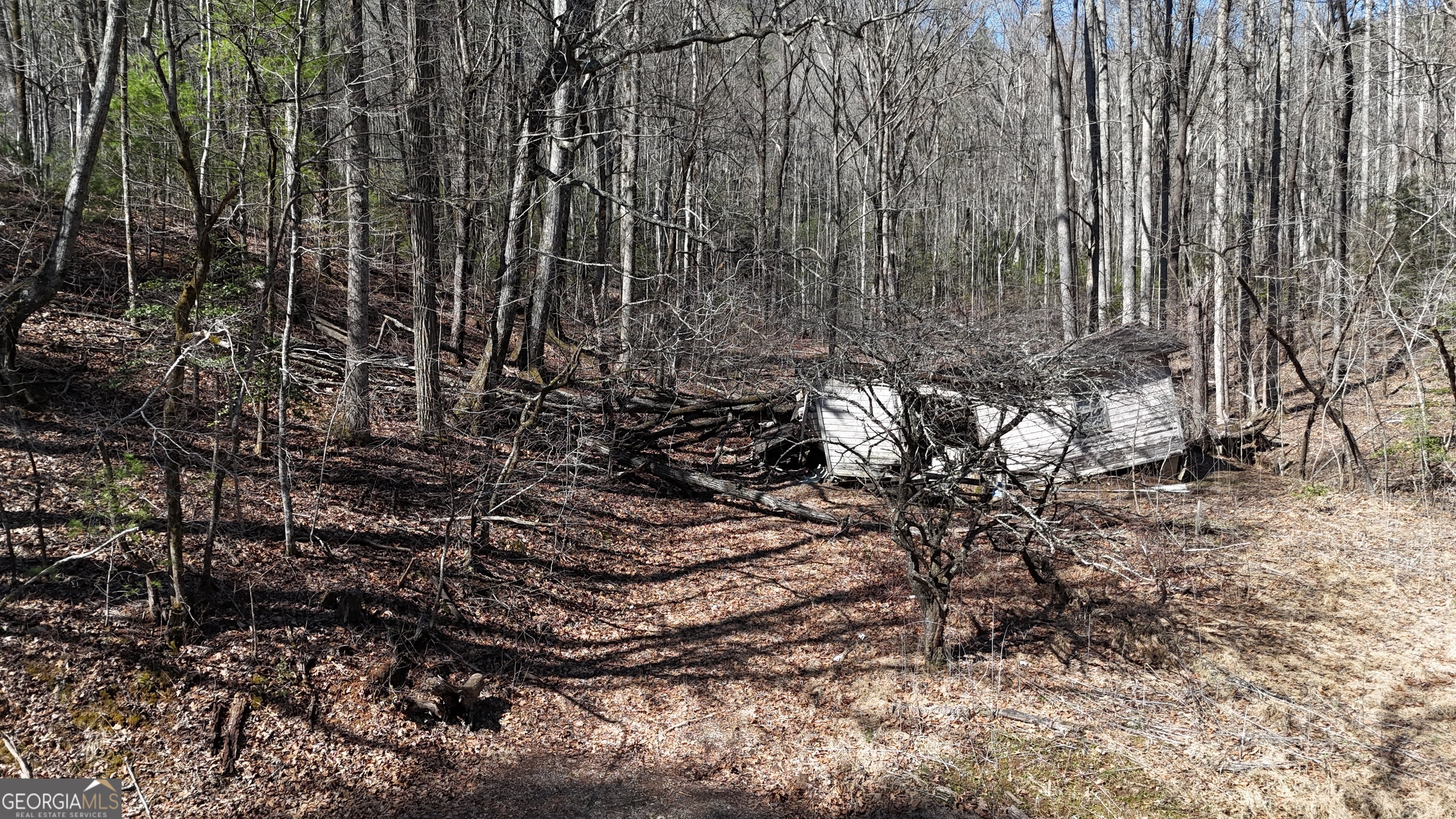 3561 Goshen Creek RD