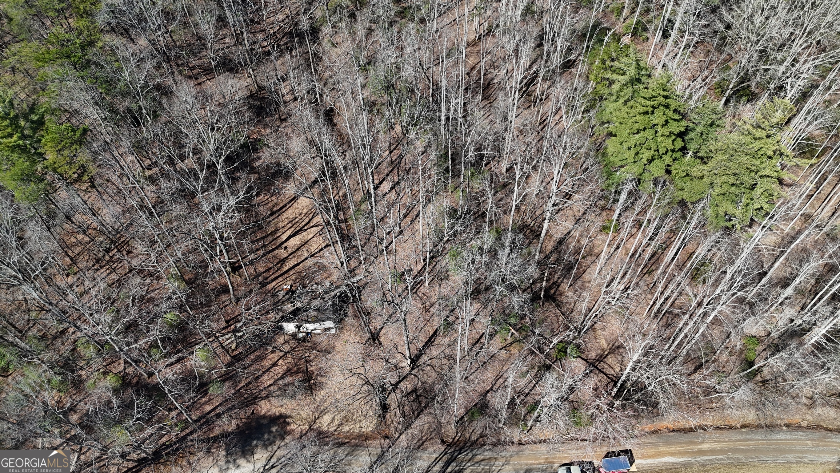 3561 Goshen Creek RD