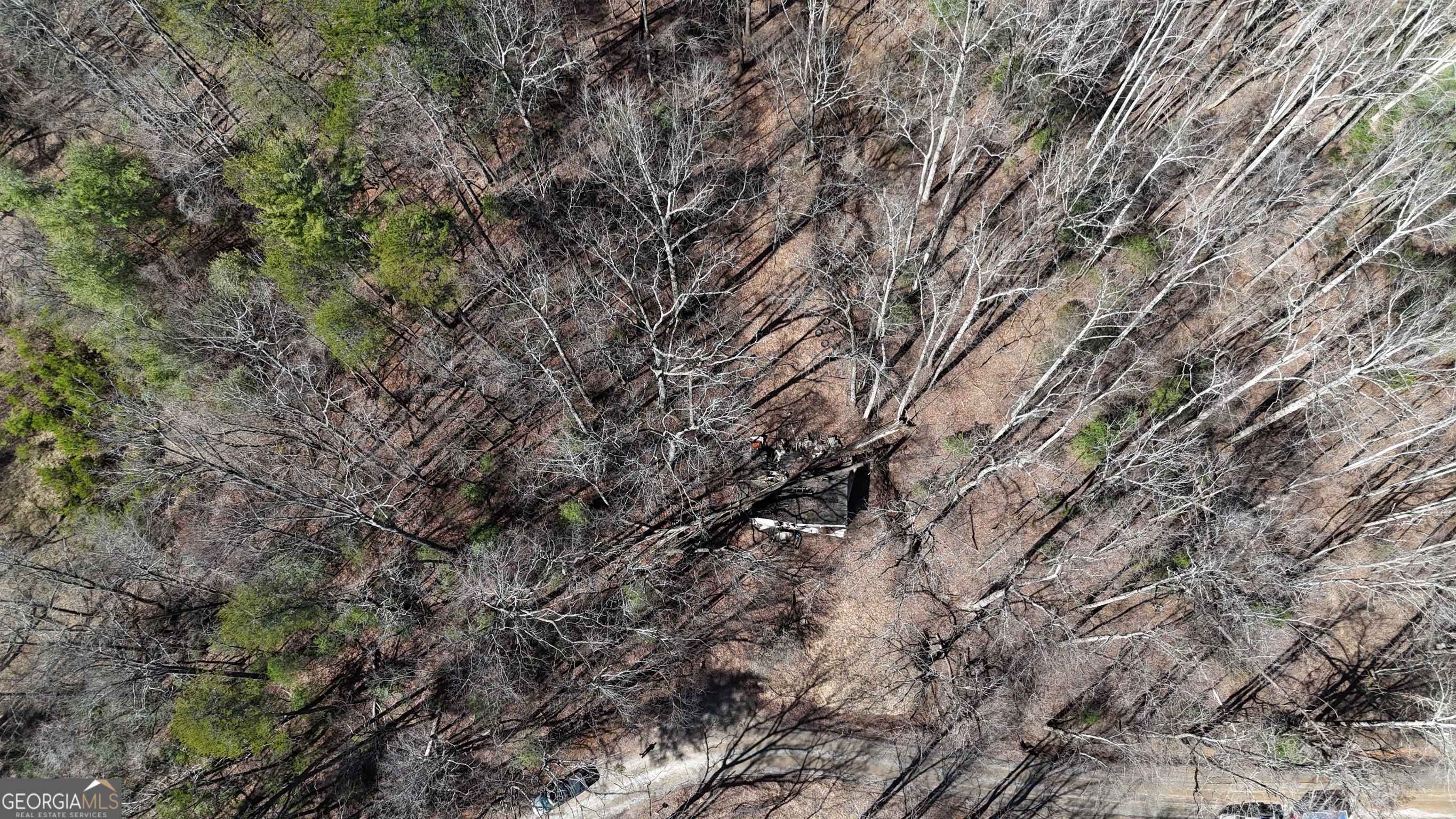 3561 Goshen Creek RD