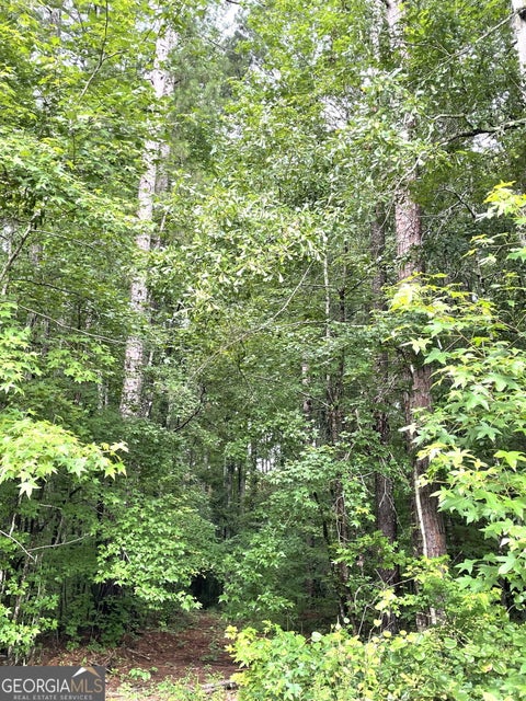 Photo of 0 Sims Street, Barnesville, GA 30204 (MLS # 10811126)
