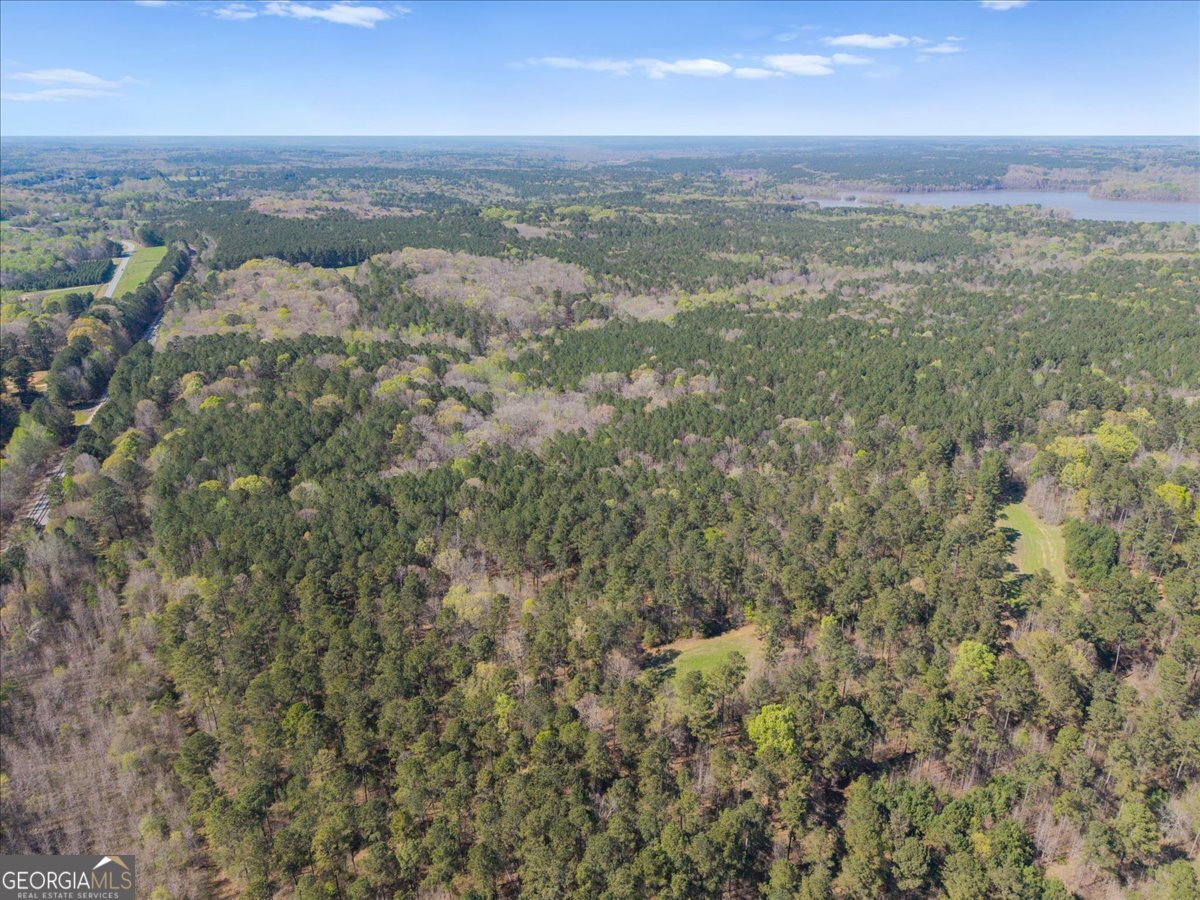 198 +/- ACRES Apalachee Woods TRL