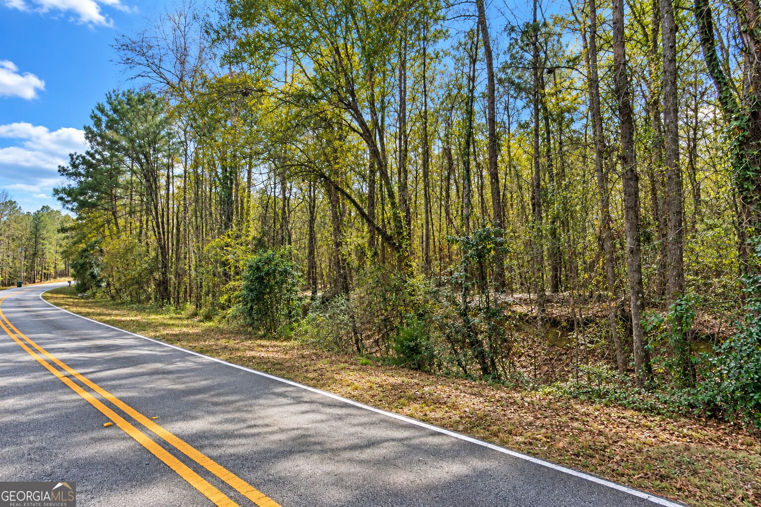 1.04 ACRES Willow Lake RD