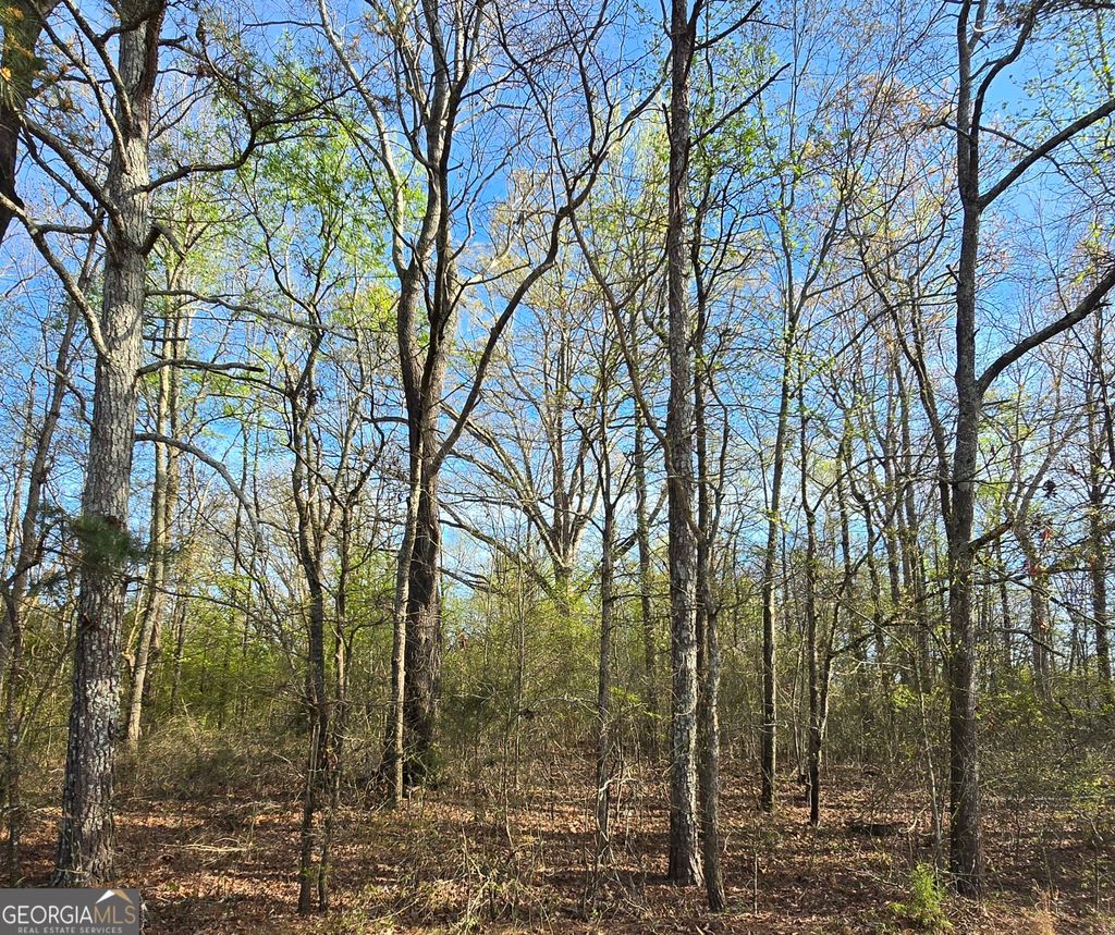 Photo of 0 Willis Glenn Rd, Hull, GA 30646 (MLS # 10717899)