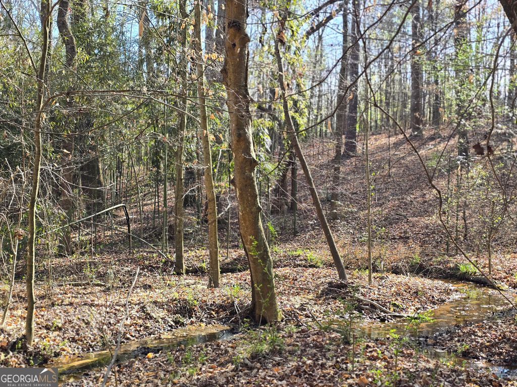 Photo of 0 Willis Glenn Rd, Hull, GA 30646 (MLS # 10717899)