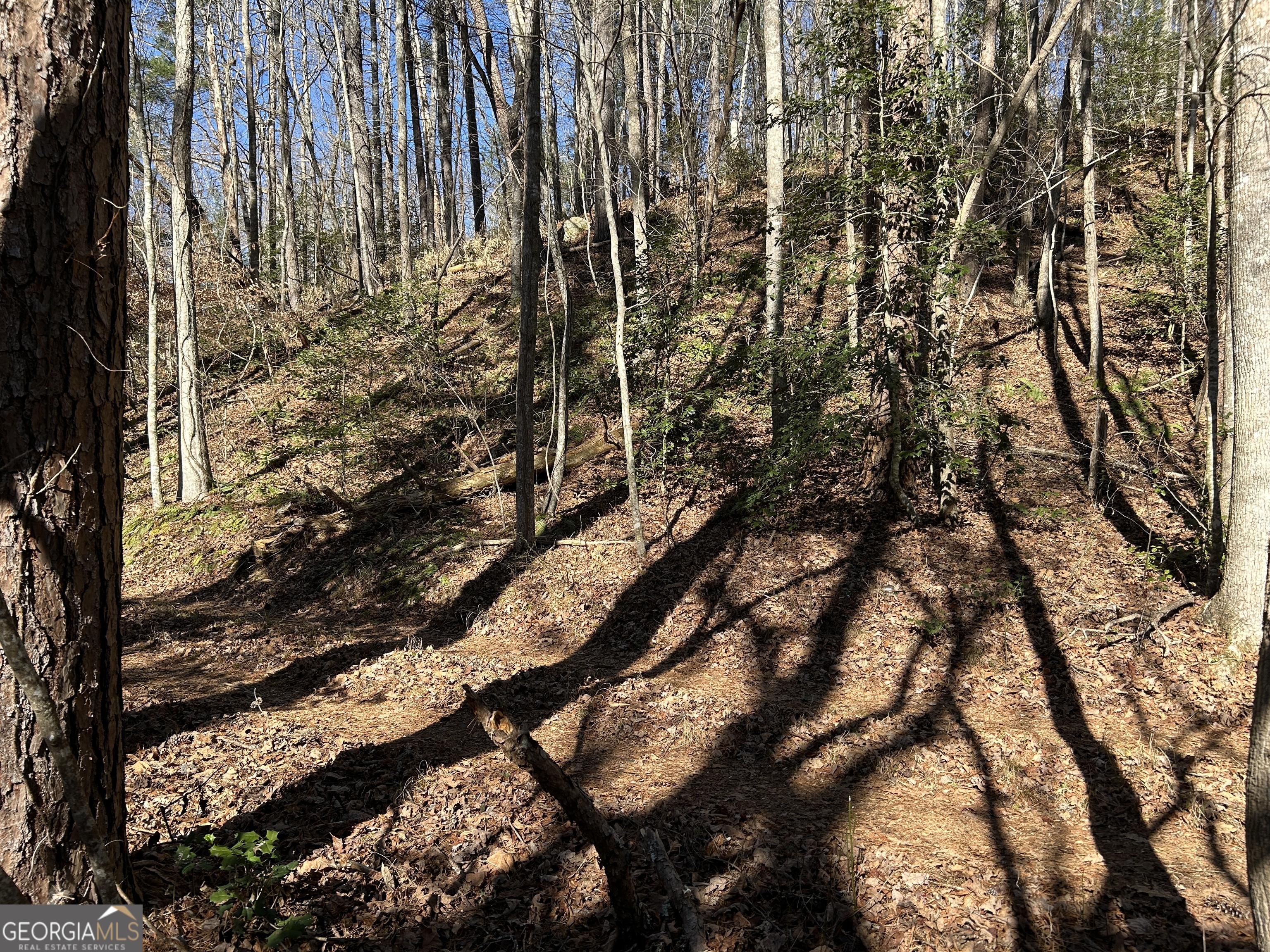 0 Twin River Orchard RD TRACT 2