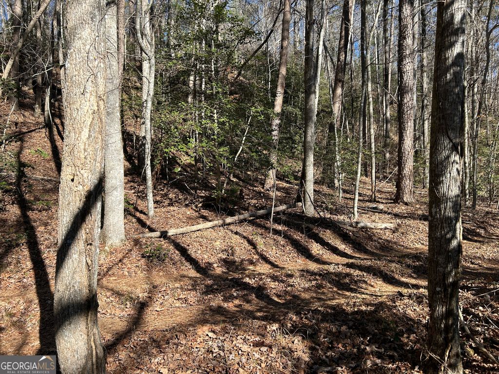 Photo of 000 Twin River Orchard Road #TRACT 2, Demorest, GA 30535 (MLS # 10663801)