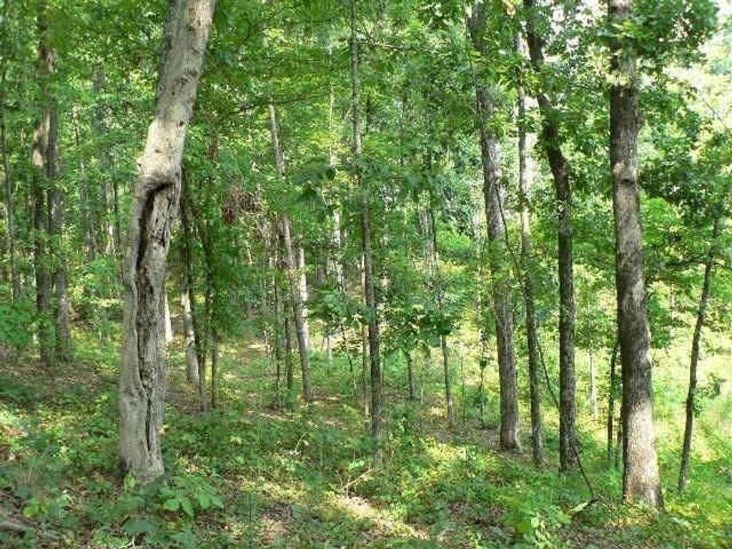 Photo of 0 Duncan Bridge Road, Cleveland, GA 30528 (MLS # 10660634)