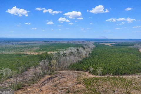 0 Highway 121 Glennville GA 30427