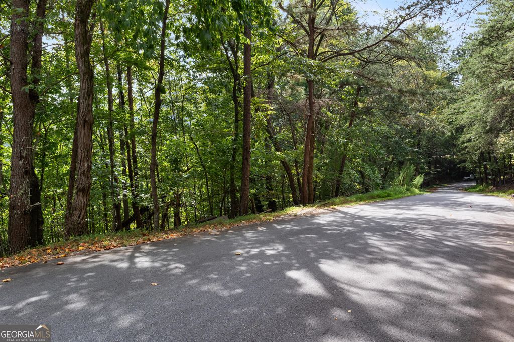 Photo of 0 Sal Mountain Way, Sautee Nacoochee, GA 30571 (MLS # 10812923)