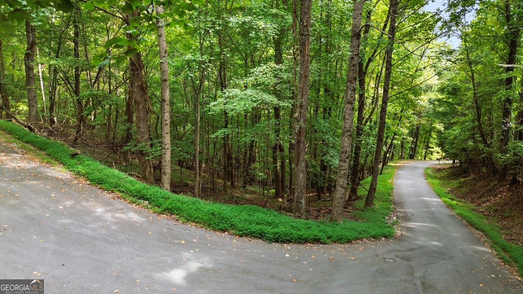 Photo of 0 Sal Mountain Way, Sautee Nacoochee, GA 30571 (MLS # 10812923)