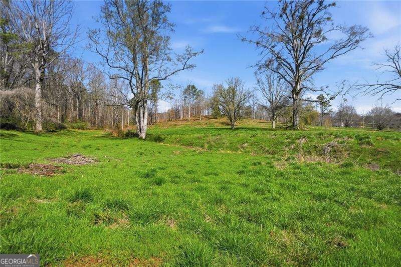 Photo of 2201 Long Road, Ball Ground, GA 30107 (MLS # 10849935)