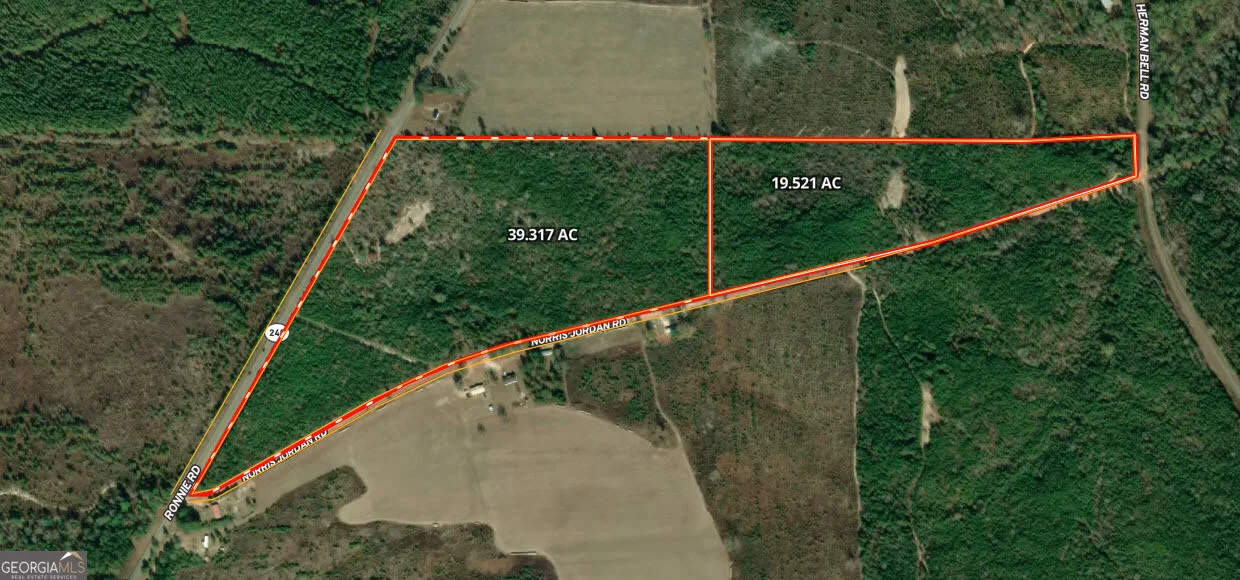 19.521 AC Herman Bell Road, Mauk, GA, 31058