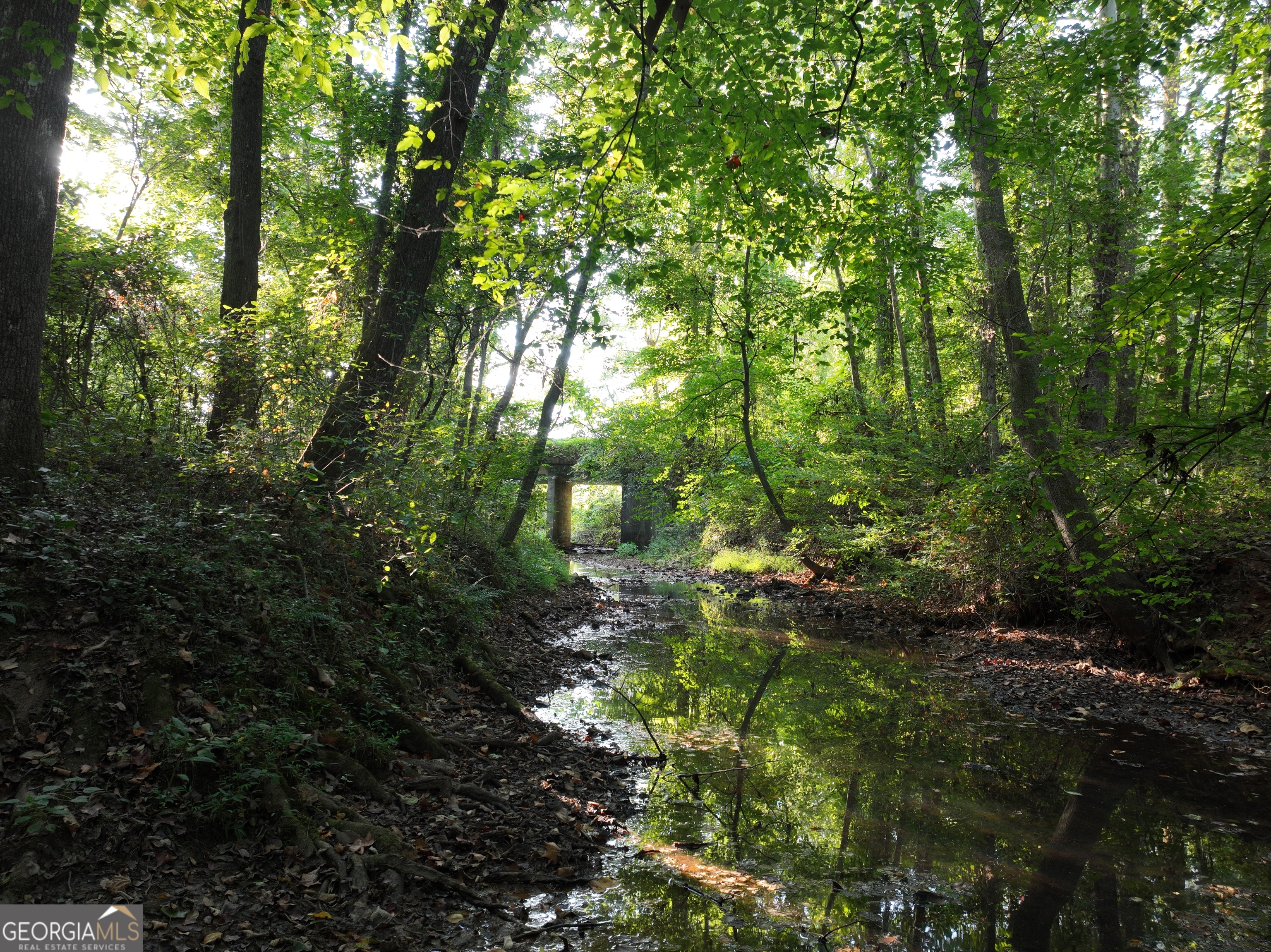 Escape to your own slice of nature on Shady Grove Road with this beautiful 4.25-acre property! Wooded and full of wildlife, this land offers privacy, peace, and the perfect backdrop for your dream home. The highlight of the property is the property line bordered by the scenic Hendricks Creek - offering charm and natural character. Located just minutes from Downtown Carrollton, Lakeshore Park, and local shopping, you'll enjoy the convenience of town with the quiet seclusion of country living. Whether you're looking for a homesite, recreational land, or a private getaway, this property has endless potential. Bonus!! Neighboring properties with an additional 24 acres & 10 acres are also available - ideal for a family compound, or developers looking for more land.