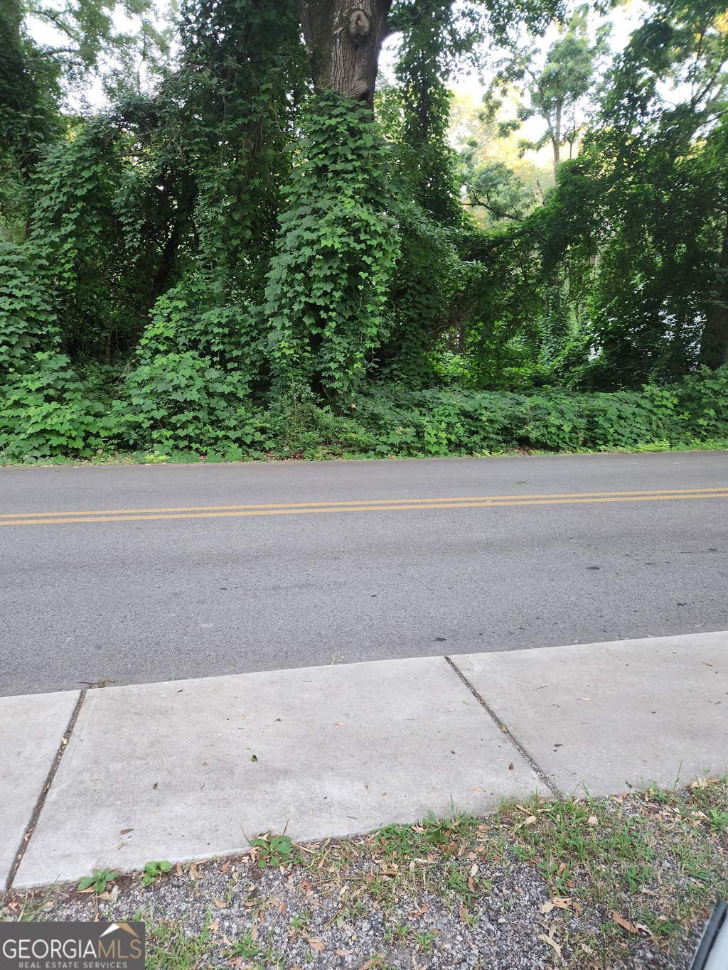 Photo of 0 Pine Street, Hogansville, GA 30320 (MLS # 10805512)
