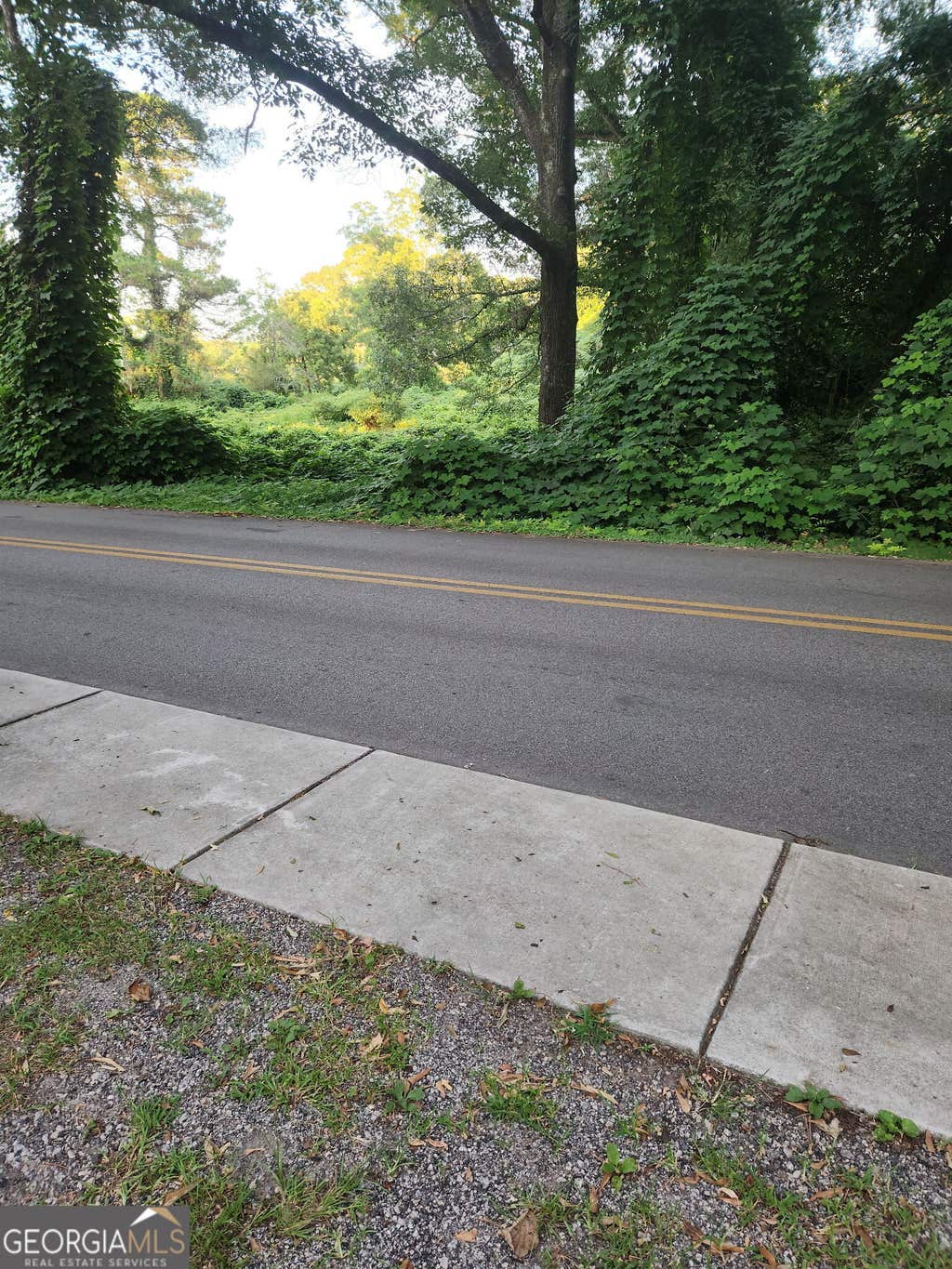 Photo of 0 Pine Street, Hogansville, GA 30320 (MLS # 10805512)
