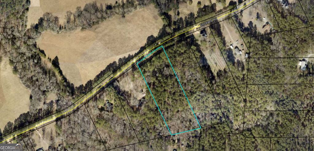 Photo of 0 Strickland Road, Concord, GA 30206 (MLS # 10740122)