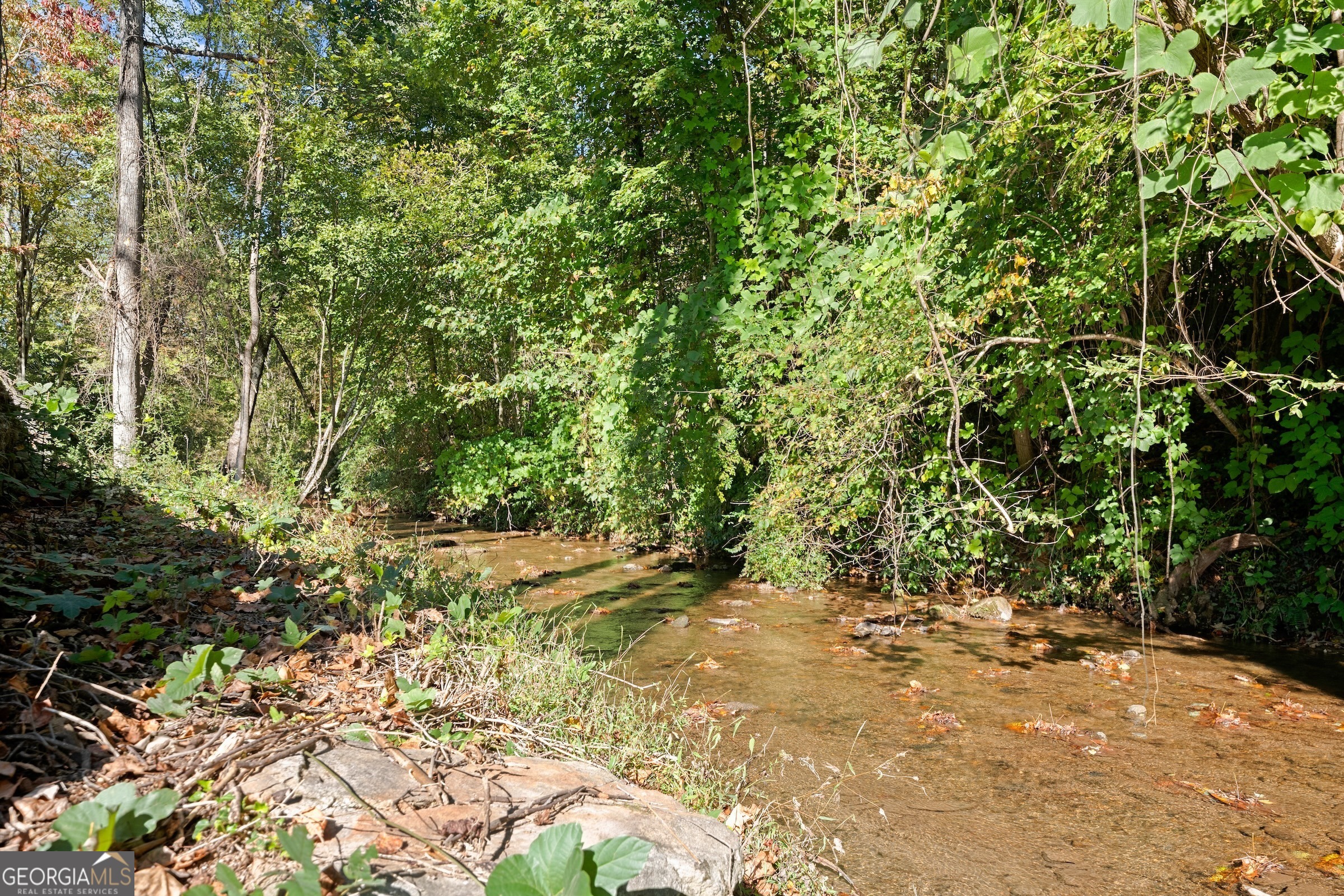 Clayton, Georgia 30525, United States, 4 Bedrooms Bedrooms, ,4 BathroomsBathrooms,Residential,Active,48119