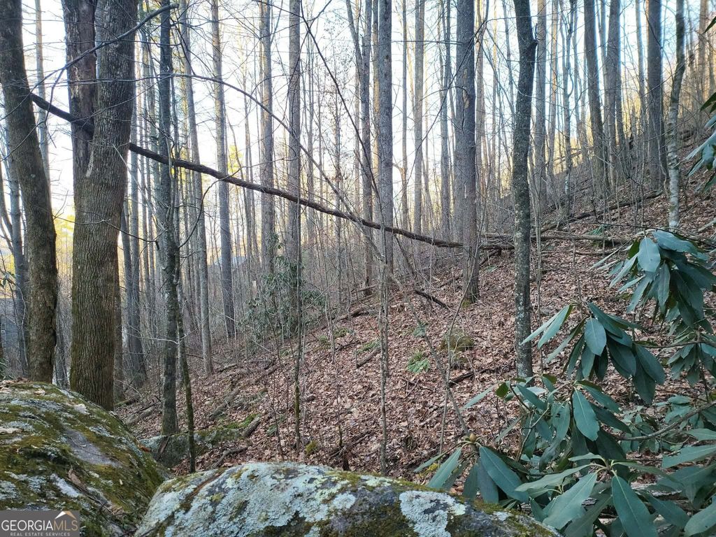 Photo of 7 Hawkeye Trail, Rabun Gap, GA 30568 (MLS # 10673565)